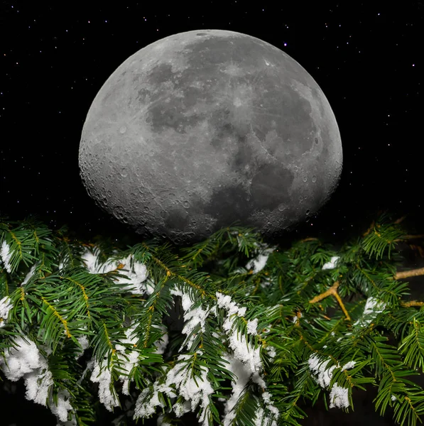 Énorme Lune Levant Sur Forêt Sapins Dans Neige Hiver Fond — Photo