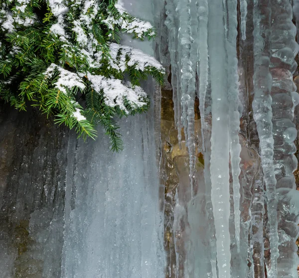 Closeup Snowbound Fir Tree Frozen Waterfall — Stock Photo, Image