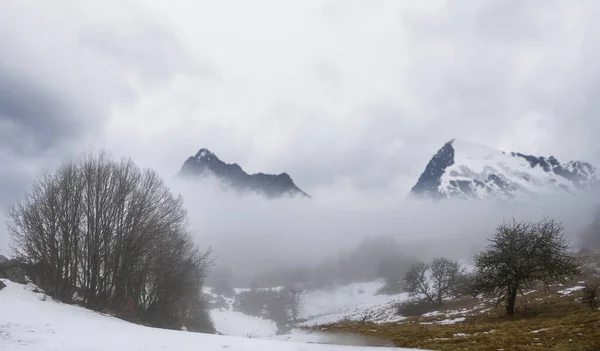鬱蒼とした霧の中で森と一緒に雪に覆われた山の谷冬の山岳旅行シーン — ストック写真