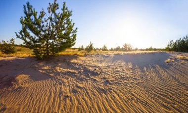 Gün batımında kumlu çayır, sakin doğal yaz akşamı sahnesi