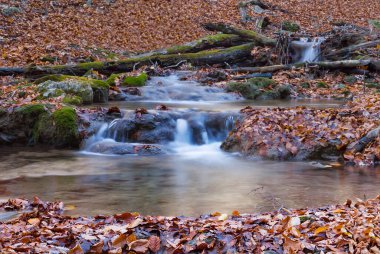small brook flow through the mountain canyon among stones and dry leaves