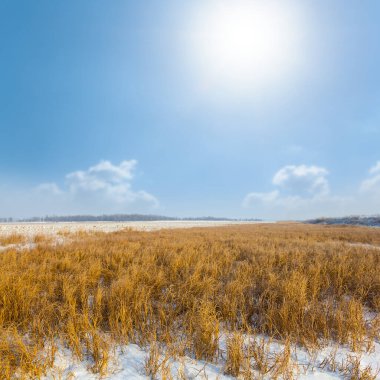 snowbound prairie under a sparkle sun, winter outdoor landscape
