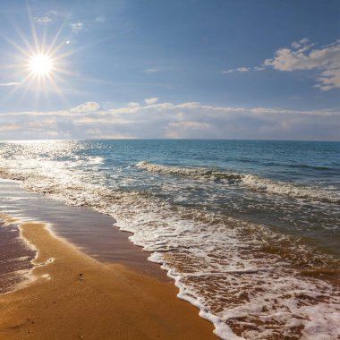 emerald sea bay with sandy beach at summer sunny day