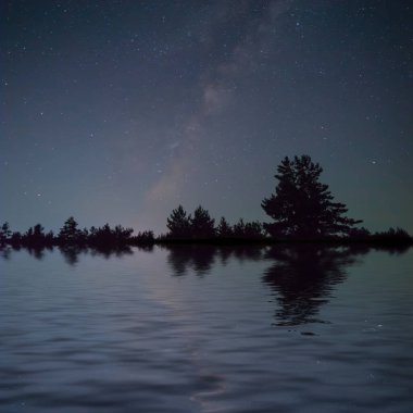 night starry sky with forest silhouette reflected in a lake