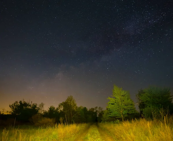 small ground road in forest under starry sky, night outdoor landscape