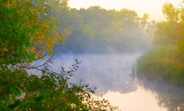 calm river at the sunrise, early morning quiet natural outdoor summer landscape