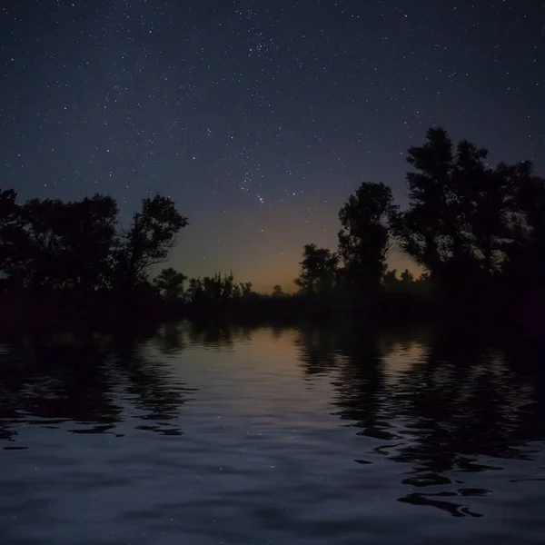 Orion constellation on night starry sky with forest silhouette reflected in a lake