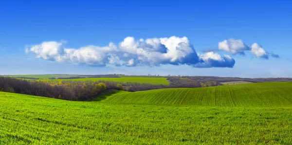 Широкая Зеленая Сельская Местность Голубым Облачным Небом Красивая Весна Фоне — стоковое фото
