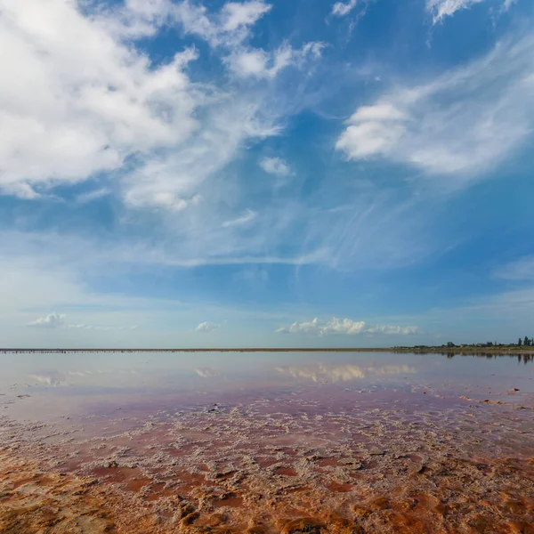 Lago Salino Rosa Bajo Cielo Azul Nublado —  Fotos de Stock