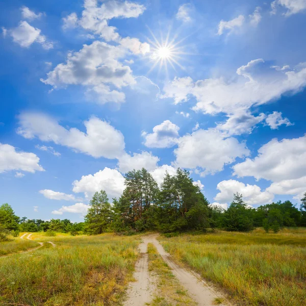 夏日阳光明媚的草原间的地面道路 — 图库照片
