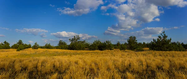 Brede Zandige Prairie Onder Een Bewolkte Hemel Hete Zomerdag — Stockfoto