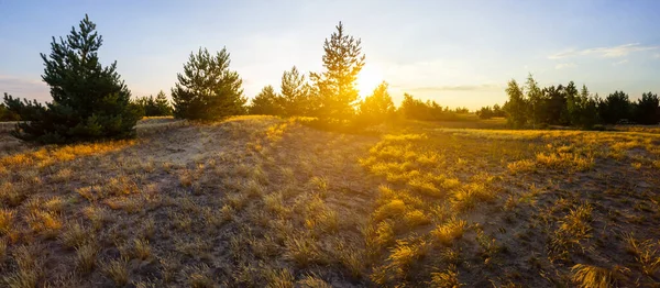 夕暮れ時の広い砂地自然の屋外の背景 — ストック写真