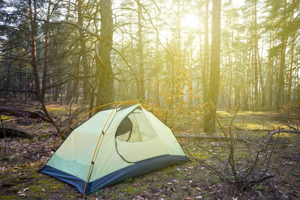 日出日落时 特写镜头下的小旅游帐篷停在林荫上 — 图库照片