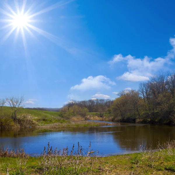 Small River Forest Sunny Spring Day — Stock Photo, Image