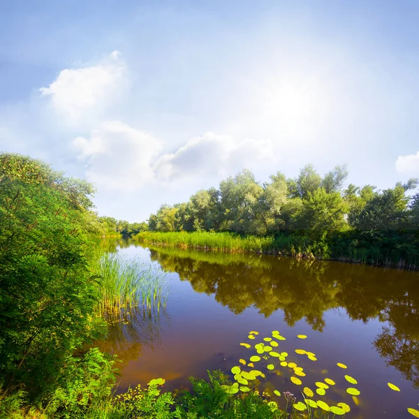 Kleiner Ruhiger Fluss Heißen Sonnigen Sommertag — Stockfoto