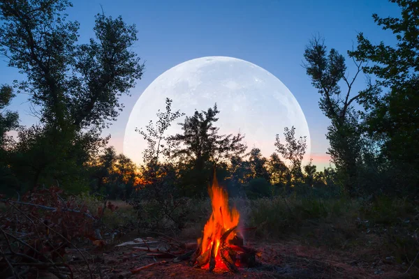 巨大な月が昇る森の中のキャンプファイヤー夕暮れの屋外キャンプシーン — ストック写真