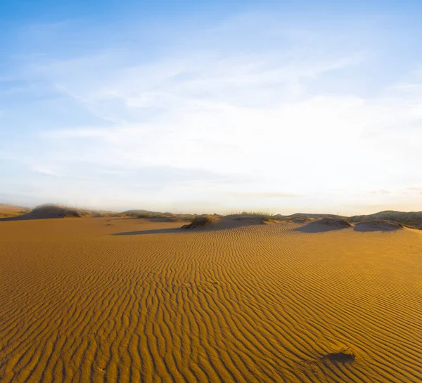 Wide Sandy Desert Sunset — Stock Photo, Image