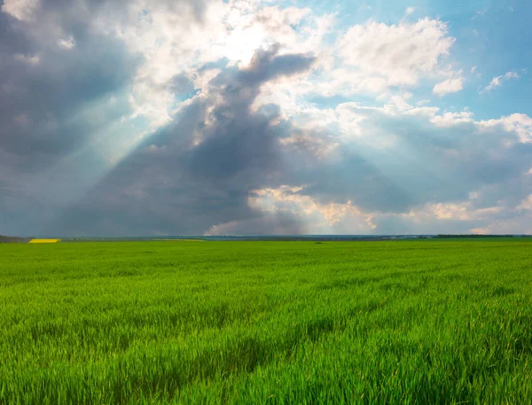 Green Rural Field Dense Cloudy Sky — Stock Photo, Image