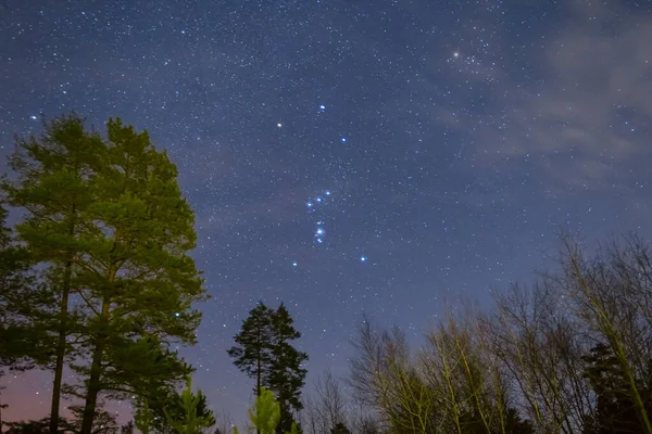 Orion constellation on night starry sky above  green forest