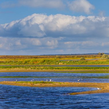 Bulutlu gökyüzünün altında mavi nehir