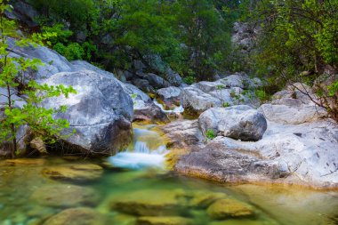 Dağ kanyonundan akan küçük bir nehir