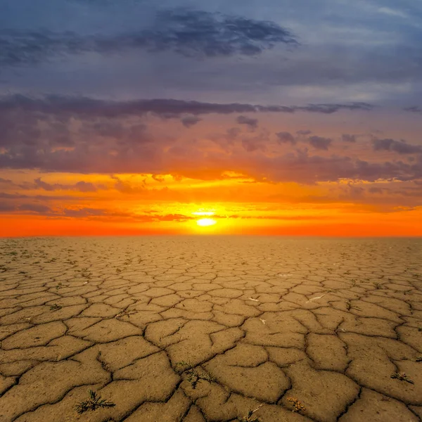 Sucha Sól Fizjologiczna Pęknięta Ziemia Dramatycznym Zachodzie Słońca — Zdjęcie stockowe