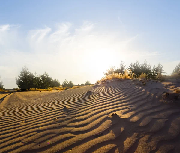 Duna Deserto Arenoso Pôr Sol — Fotografia de Stock