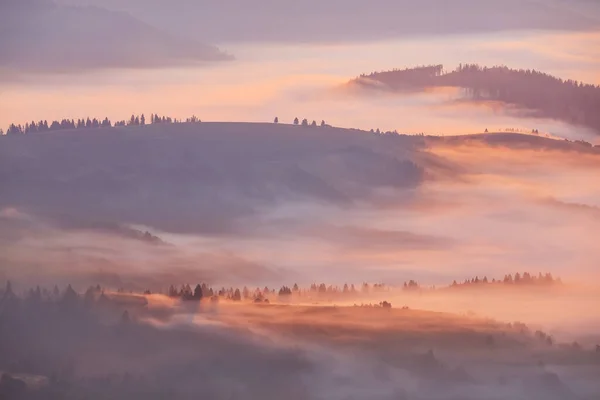 Горная Долина Крупным Планом Густом Тумане Восходе Солнца Ранним Утром — стоковое фото