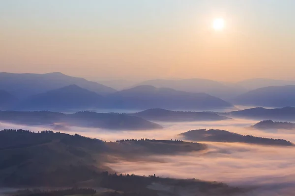 Valle Montagna Nella Fitta Nebbia All Alba Paesaggio Montano Prima — Foto Stock