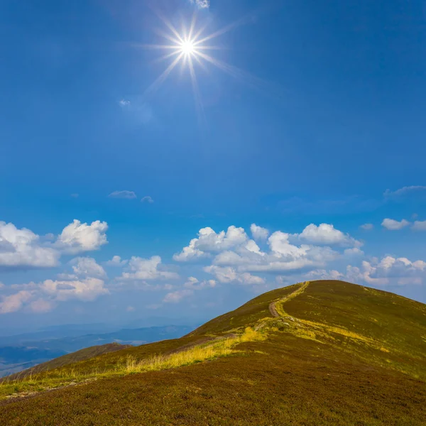 夏の晴れた日に草に覆われた山の頂上 — ストック写真