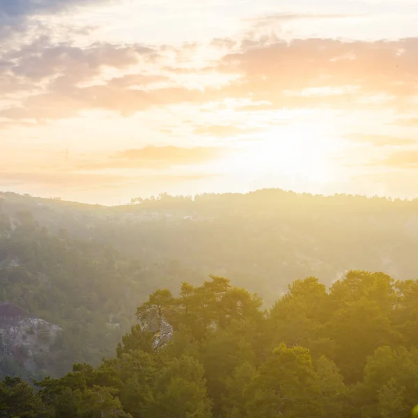Groene Bergvallei Bij Zonsondergang — Stockfoto