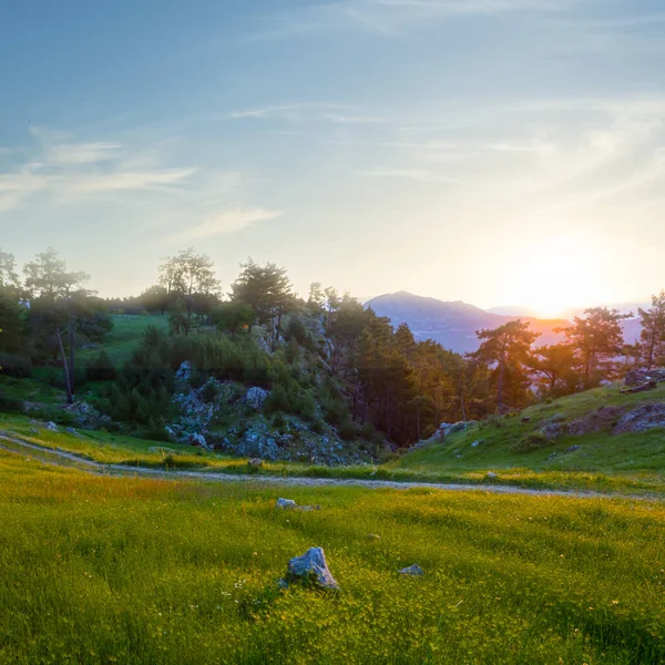 Zelené Horské Údolí Při Západu Slunce — Stock fotografie
