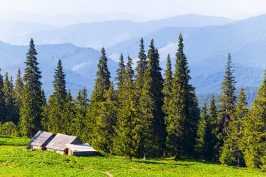 Yeşil dağ vadisinde küçük bir çiftlik