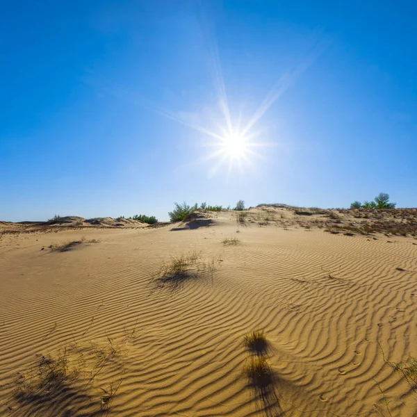 Ampio Deserto Sabbioso Nella Calda Giornata Estiva Soleggiata — Foto Stock