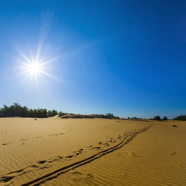 Wide Sandy Desert Hot Summer Sunny Day — Stock Photo, Image