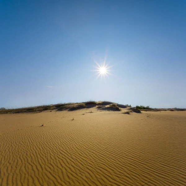 Brede Zandwoestijn Hete Zomer Zonnige Dag — Stockfoto
