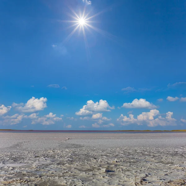Sıcak Güneş Altında Kuru Tuzlu Arazi Doğal Afet Sahnesi — Stok fotoğraf