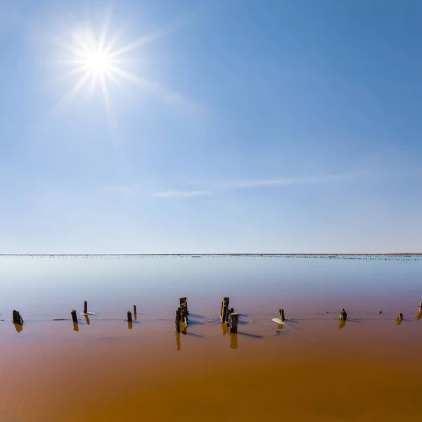 Lago Salino Rosa Dia Ensolarado Verão — Fotografia de Stock