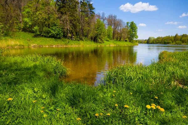 Mała Spokojna Rzeka Pod Błękitnym Zachmurzonym Niebem Letnia Scena Wiejska — Zdjęcie stockowe
