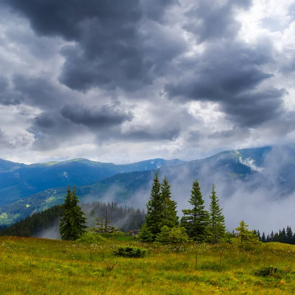 Влажная Горная Долина Туманный Облачный День — стоковое фото