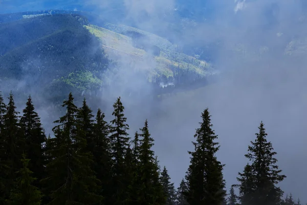 Wet Mountain Valley Foggy Cloudy Day — Stock Photo, Image