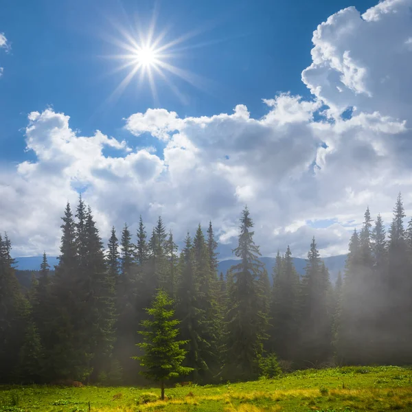 Molhado Nebuloso Montanha Vale Verão Ensolarado — Fotografia de Stock