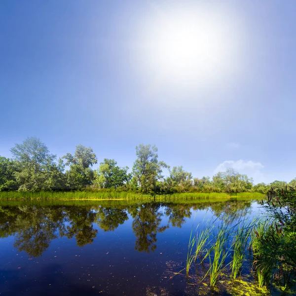 輝く太陽の下で穏やかな青い川夏の屋外風景 — ストック写真