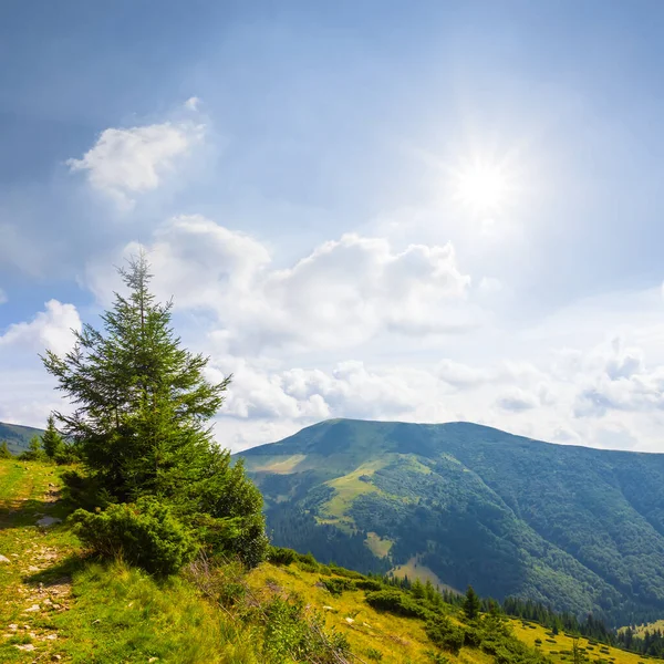 Πράσινη Κοιλάδα Του Βουνού Στη Ζεστή Ηλιόλουστη Μέρα Του Καλοκαιριού — Φωτογραφία Αρχείου