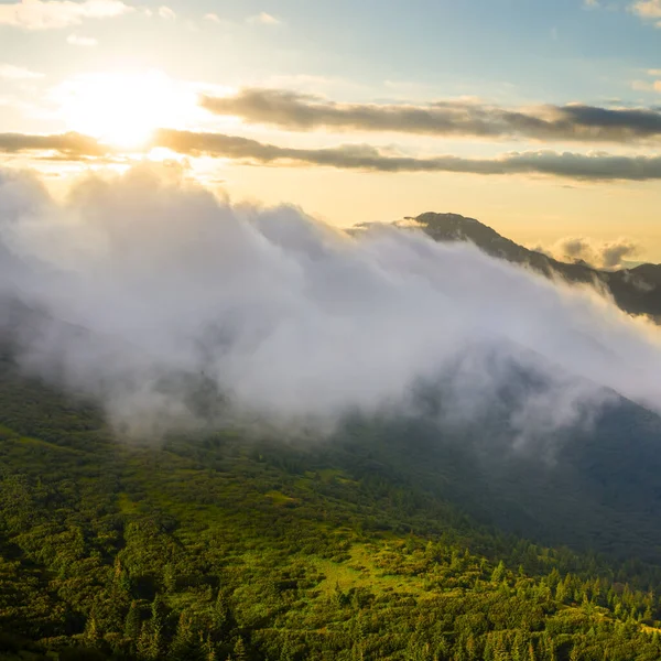 Grünes Gebirgstal Dichten Wolken Bei Sonnenuntergang Schöne Reiseszene — Stockfoto