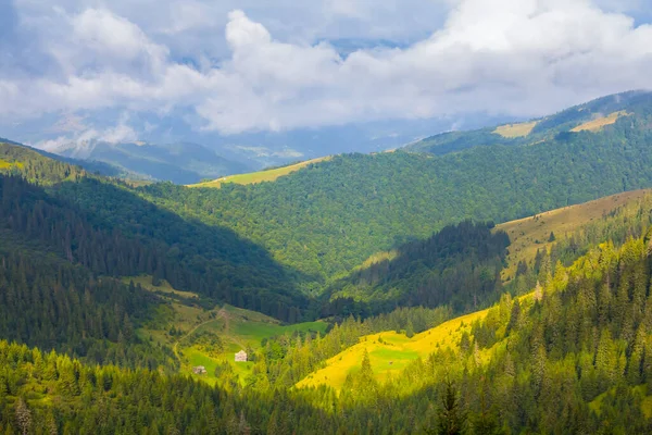 Vale Montanha Com Floresta Pinheiros Névoa Azul Nuvens — Fotografia de Stock