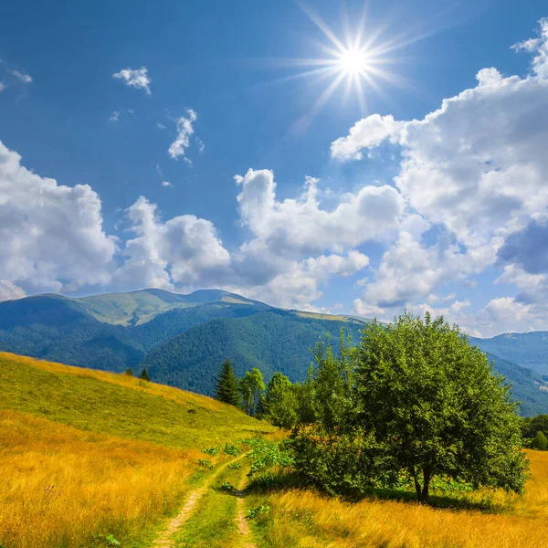 Verde Valle Montagna Nella Calda Giornata Estiva Soleggiata — Foto Stock