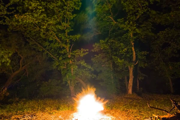 Close Kampvuur Nacht Bos Glade Zomer Camping Achtergrond — Stockfoto