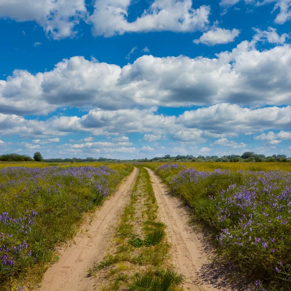 Ground Road Prairie Flowers Blue Cloudy Sky — Stock Photo, Image