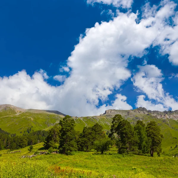 Πανέμορφο Καταπράσινο Ορεινό Τοπίο Κοιλάδα — Φωτογραφία Αρχείου